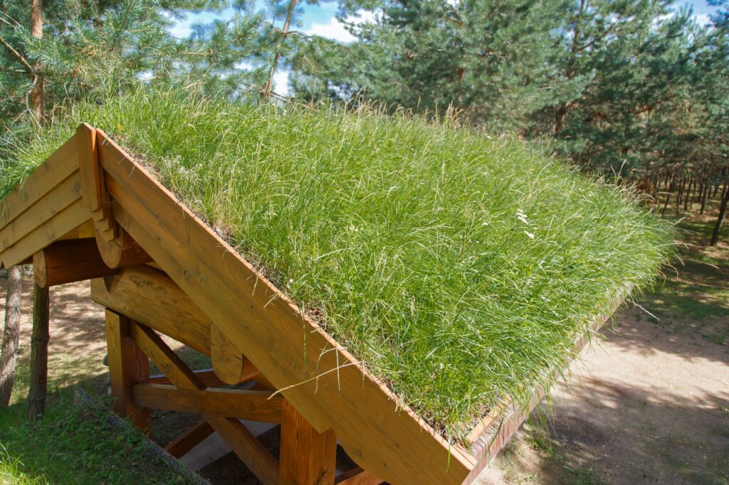 Grass Roof is environmentally friendly