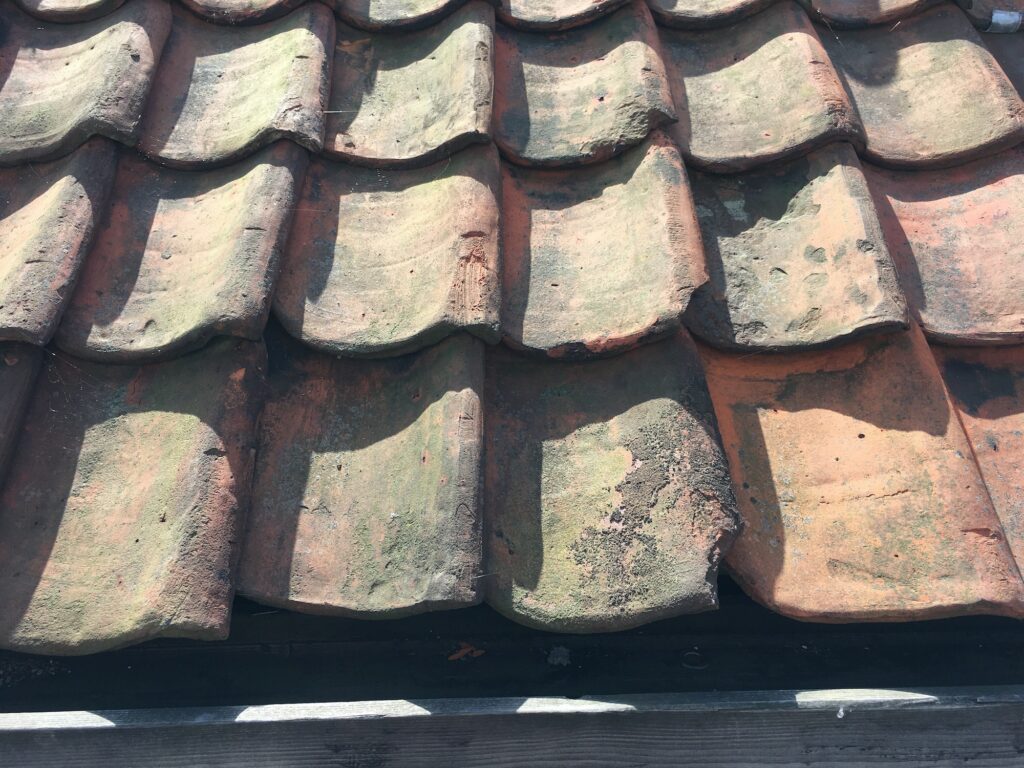Terracotta roofing